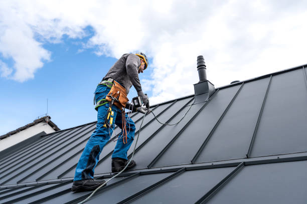 Best Chimney Flashing Repair  in Sanger, TX